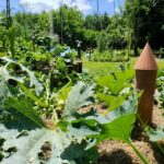 Mini Tour Irlandaise Devenish – Image 5