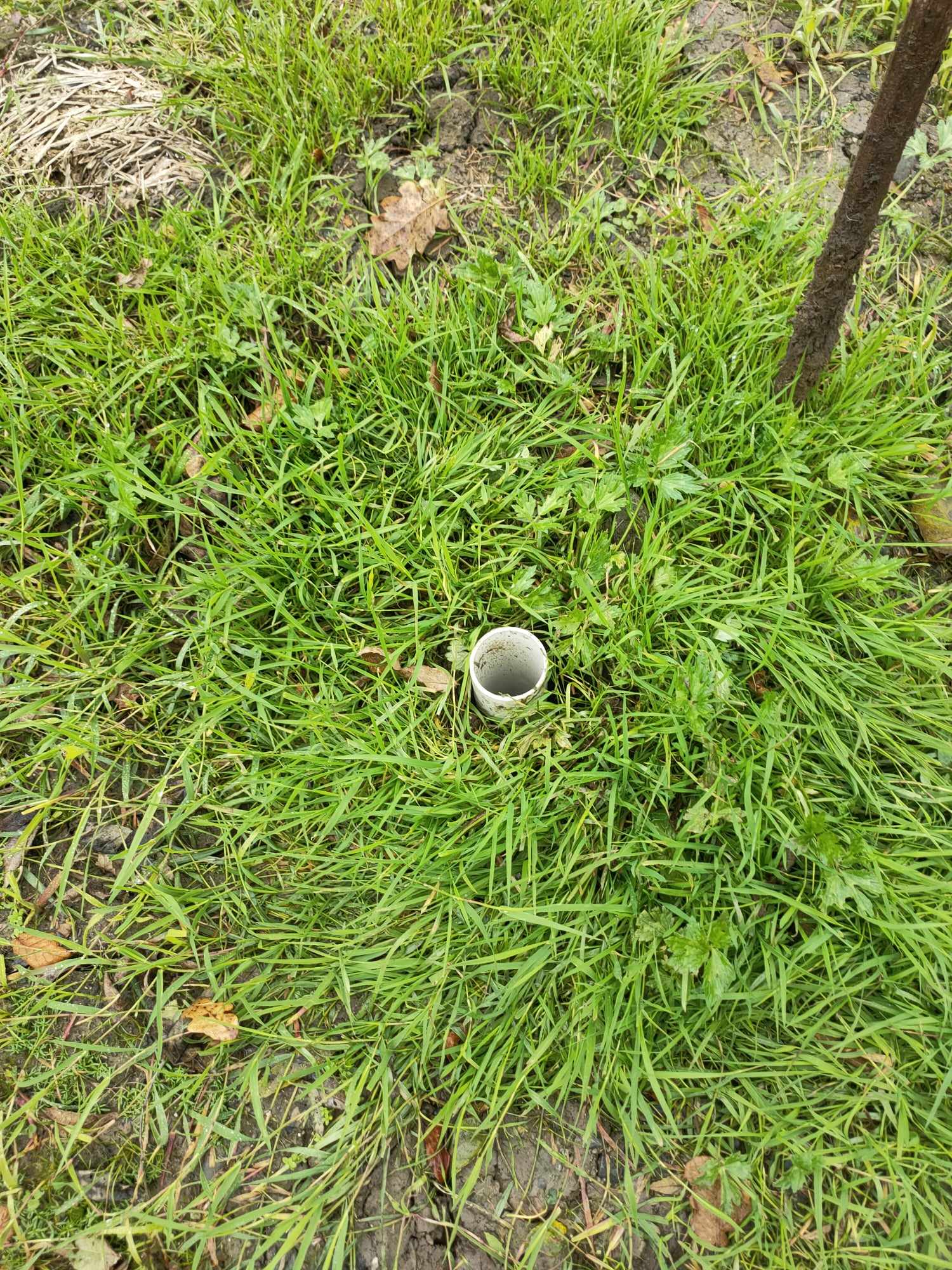 Fil De Cuivre Pur 40m Pour électroculture Et Jardinage – Résistant, Souple, Pour Antennes Et Projets DIY