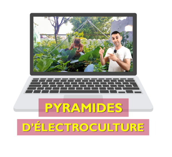 GUIDE D'UTILISATION DES PYRAMIDES en agroécologie (Disponible automne 2025)