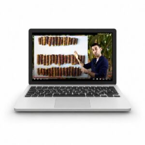 FORMATIONS EN LIGNE